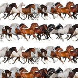 Running-Mustangs-22.jpg