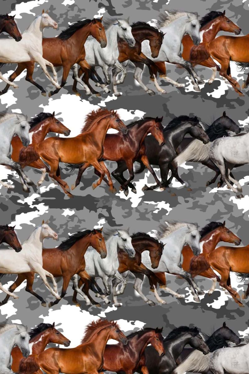 Running Mustangs 23