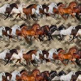 Running-Mustangs-24.jpg