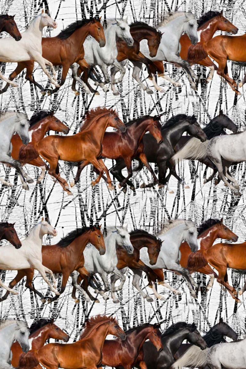 Running Mustangs 25