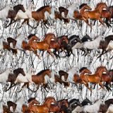 Running-Mustangs-25.jpg