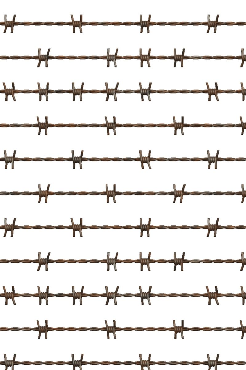 Rusty Barbed Wire 11