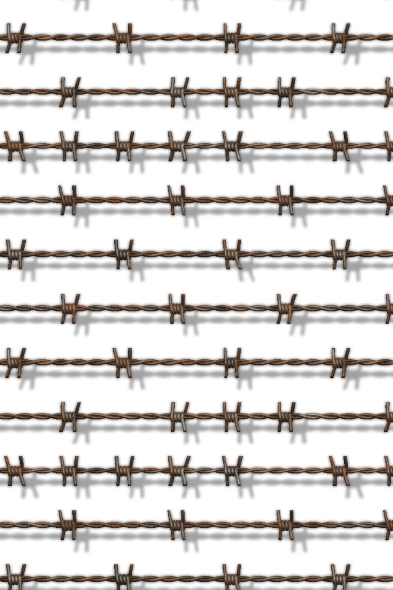 Rusty Barbed Wire 23