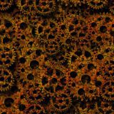 Rusty-Gears-42-thumb.jpg
