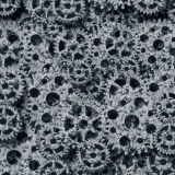 Rusty-Gears-43-thumb.jpg