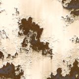 Rusty-Old-Car-White.jpg