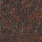 Rusty-Scales-22.jpg