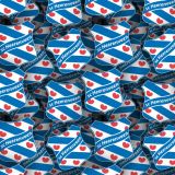 SC-Heerenveen-Almelo.jpg