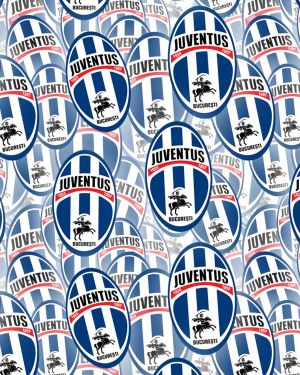 SC Juventus Bucuresti