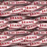 SK-Brann.jpg