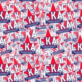 SKA-Khabarovsk.jpg