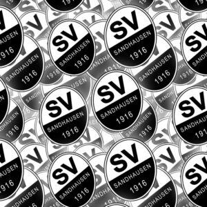 SV Sandhausen