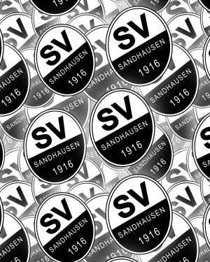 SV Sandhausen