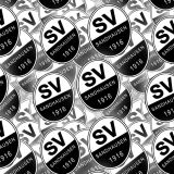 SV-Sandhausen.jpg