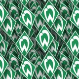 SV-Werder-Bremen.jpg
