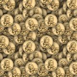 Sacagawea-Dollar-22.jpg
