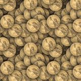 Sacagawea-Dollar-23.jpg