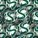 Sacremento-State-College-California-State-University-Sacramento.jpg