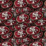 San-Francisco-49ers-24.jpg