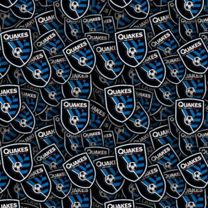 San Jose Earthquakes 22