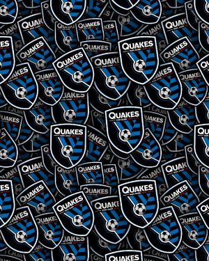San Jose Earthquakes 22