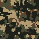 SandStone-22-Camo-thumb.jpg