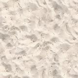 Sandy-Beach.jpg