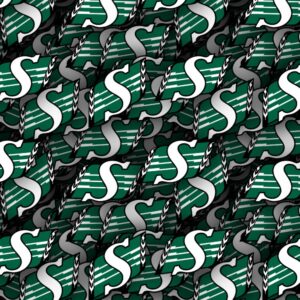 Saskatchewan Roughriders 23