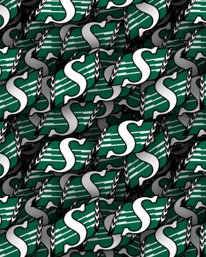 Saskatchewan Roughriders 23