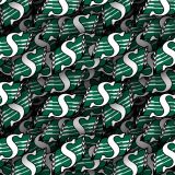 Saskatchewan-Roughriders-23.jpg