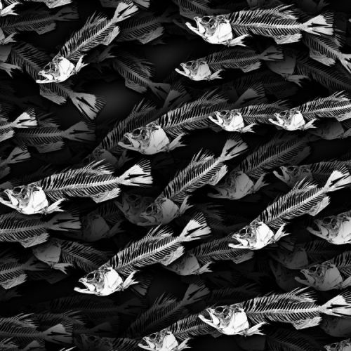 School of Fish Bones 22