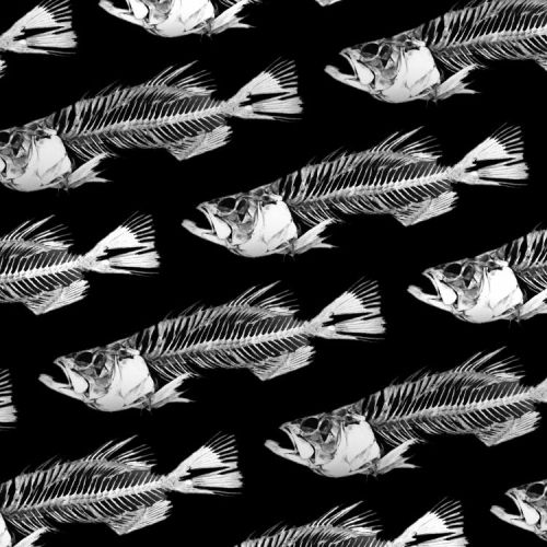 School of Fish Bones 23