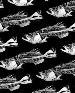 School of Fish Bones 23