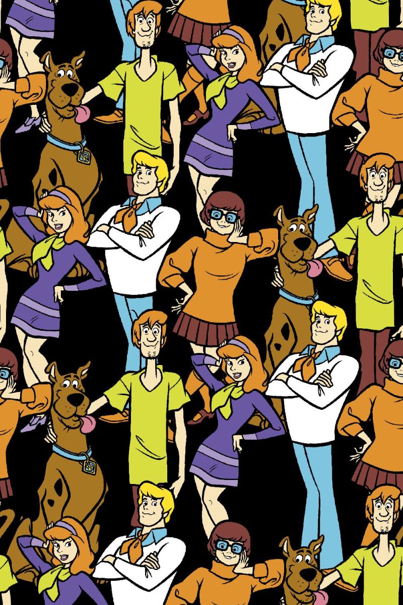 Scooby Doo Gang 24