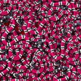 Sea-Snake-21.jpg