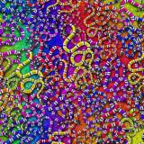 Sea-Snake-25.jpg