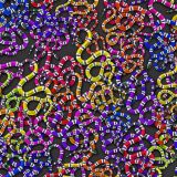Sea-Snake-26.jpg