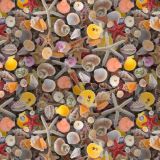 SeaShells-22.jpg