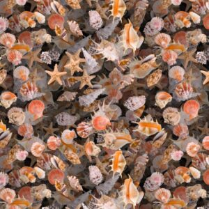 Seashells 24