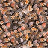 SeaShells-24.jpg