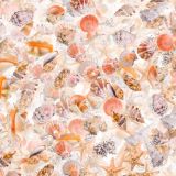 SeaShells-25.jpg