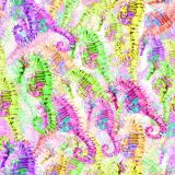 Seahorses-23.jpg