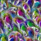 Seahorses-24.jpg