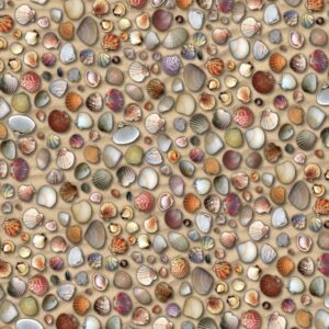 Seashell 22