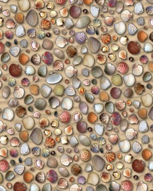 Seashell 22