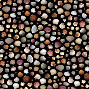 Seashell 25