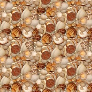 Seashells 27