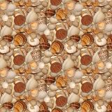 Seashells-27.jpg
