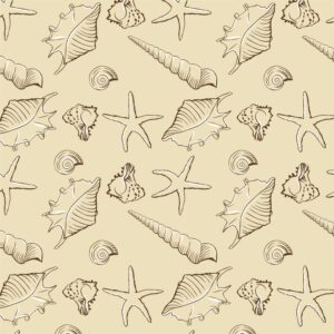 Seashells 28
