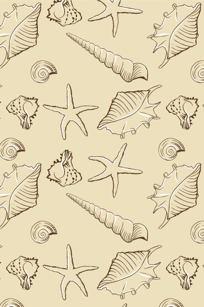 Seashells 28
